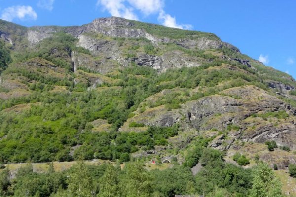 Кракен дарк ссылка