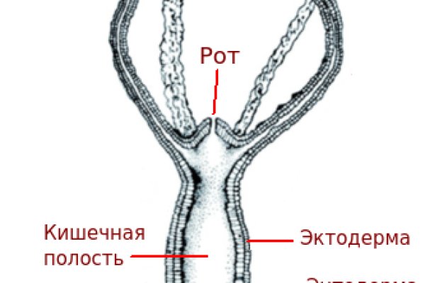 Кракен сайт 1kraken me